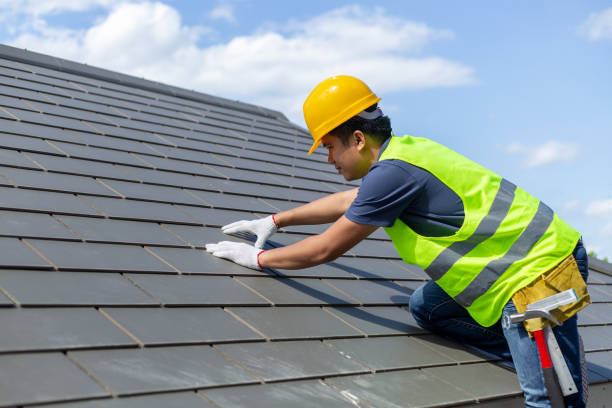 Roof Gutter Cleaning in South Kensington, MD