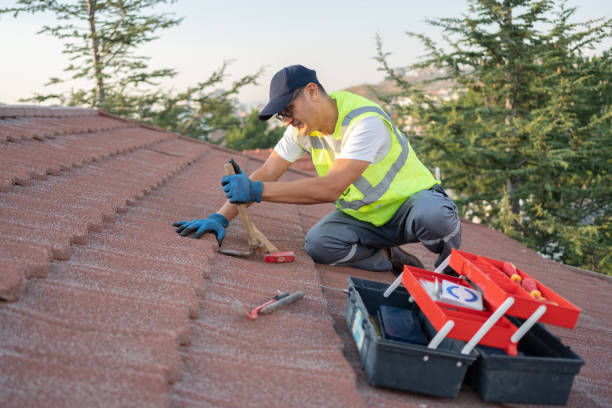 Sealant for Roof in South Kensington, MD